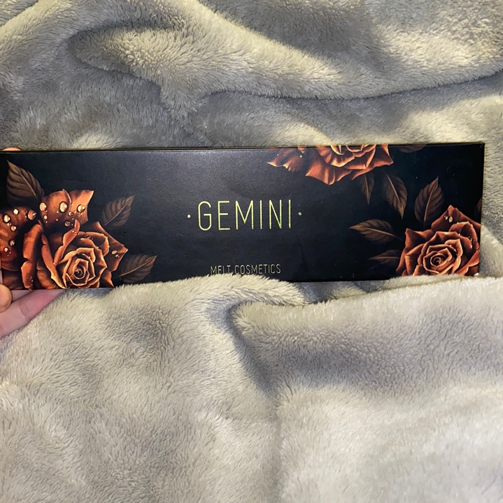 melt gemini photos